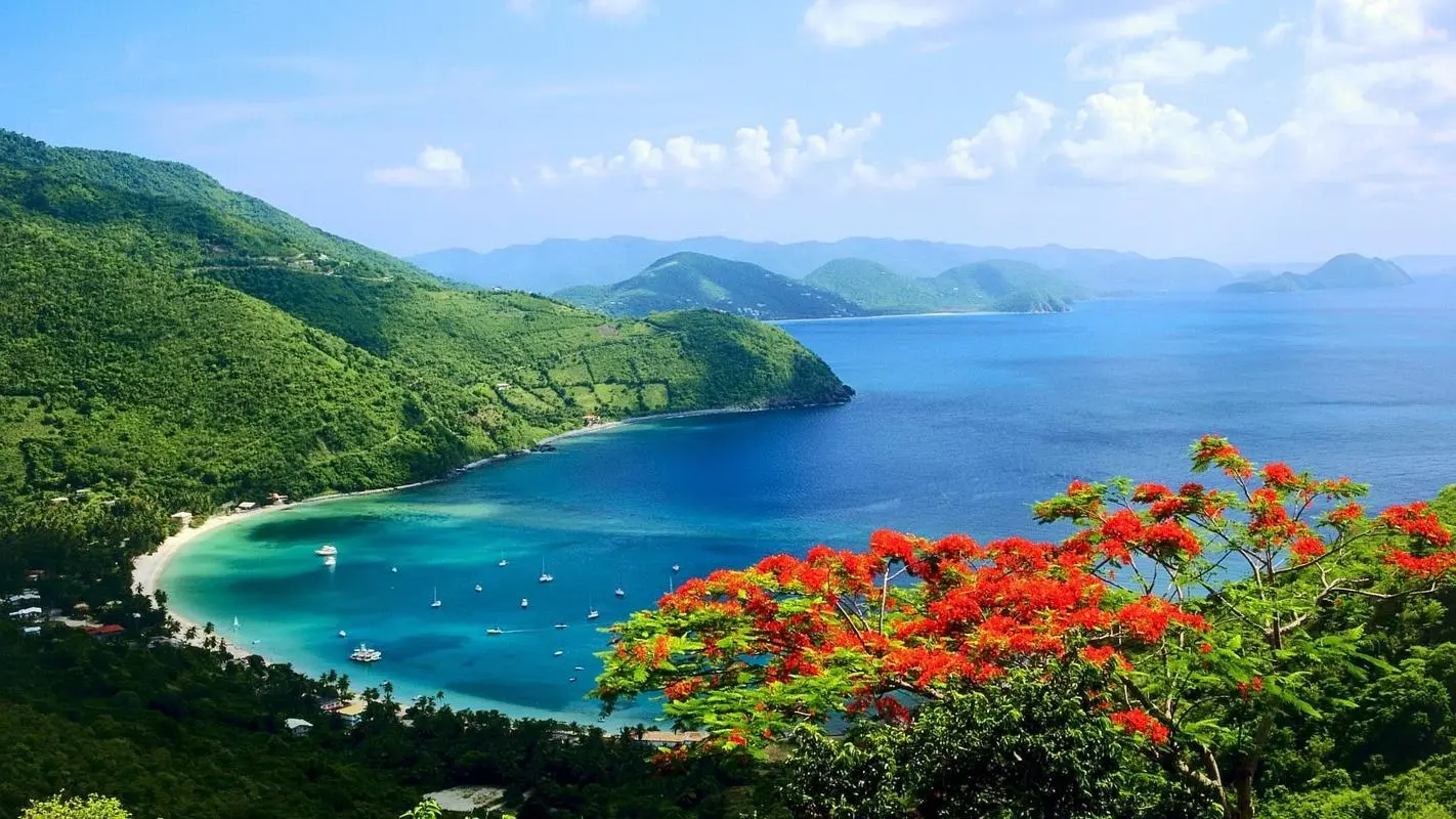 创意科技独特